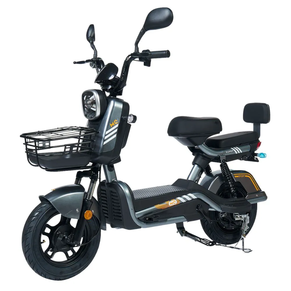electric bike